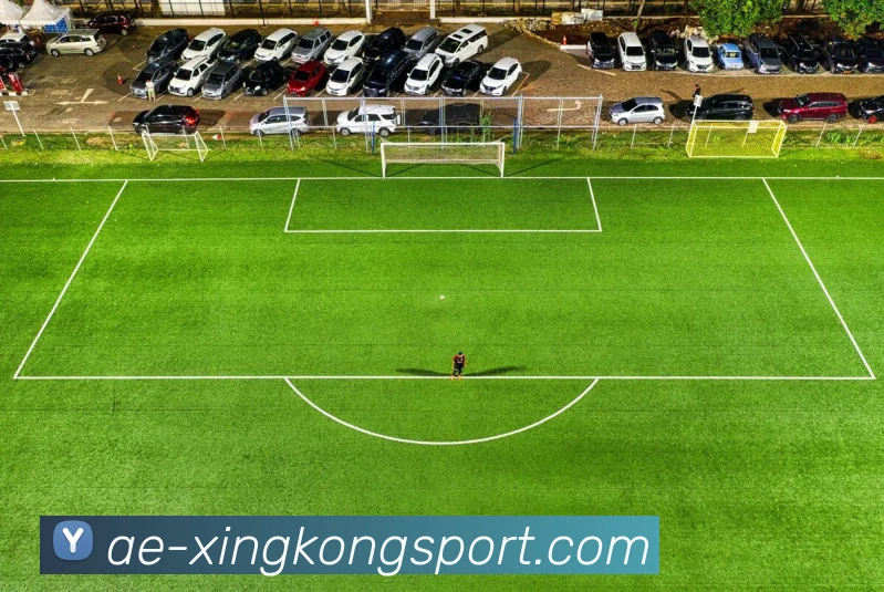 星空足球平台生态图